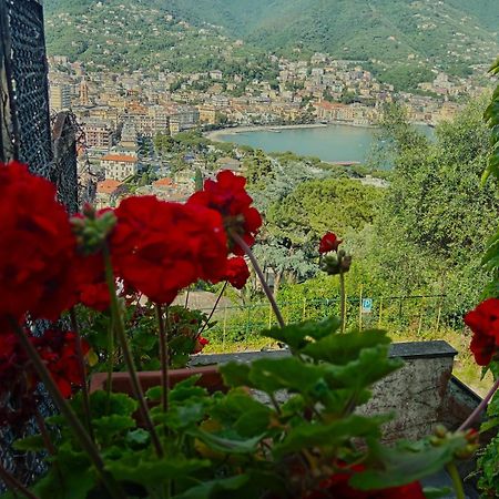 Sunrise Vila Rapallo Exterior foto